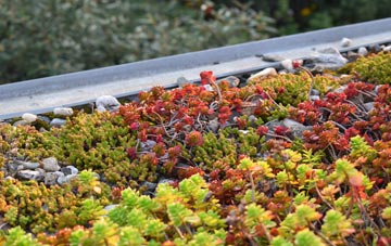 the cost of Riddlesden green roof installation
